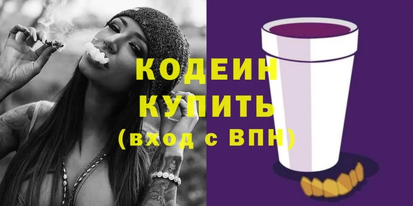 твердый Тавда