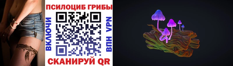 Псилоцибиновые грибы Psilocybine cubensis  Вышний Волочёк 